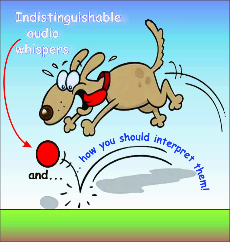 BouncingDog